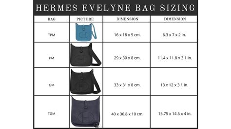 hermes jacket size chart|Hermes evelyne size chart.